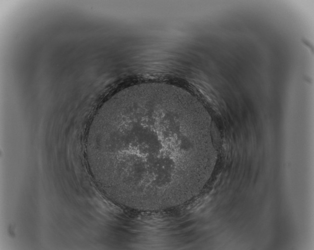 X0000096480817200801311554