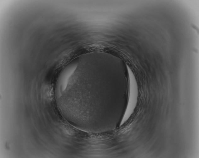 X0000096480818200801311554