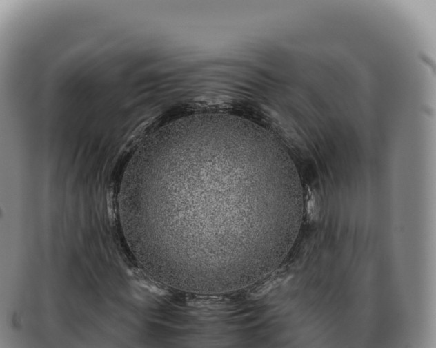 X0000096480819200801311554