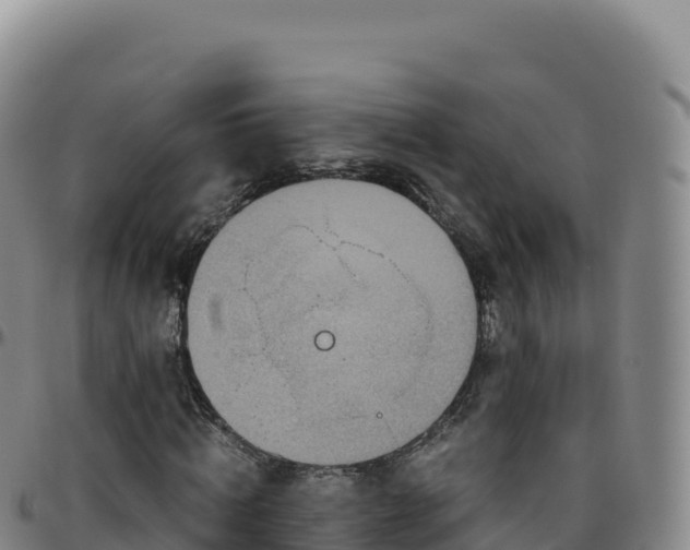 X0000096480820200801311554