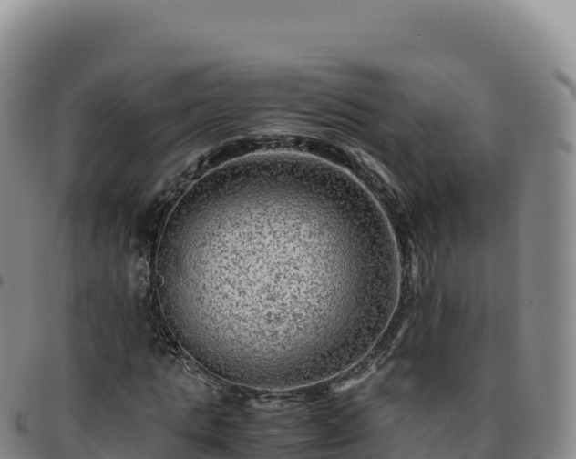 X0000096480821200801311554