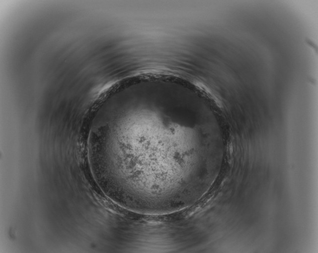 X0000096480822200801311554