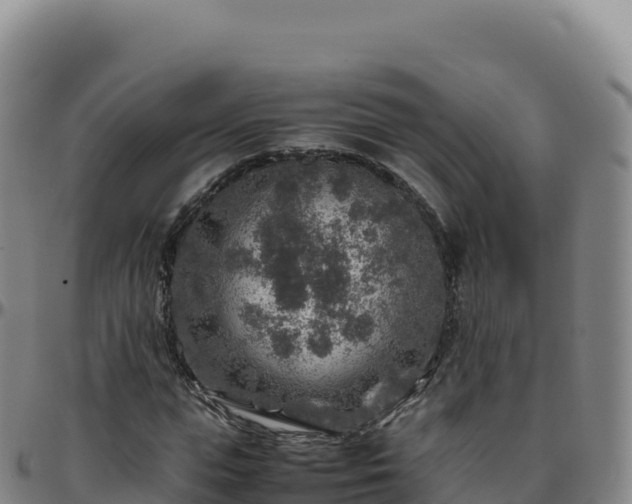 X0000096480823200801311554