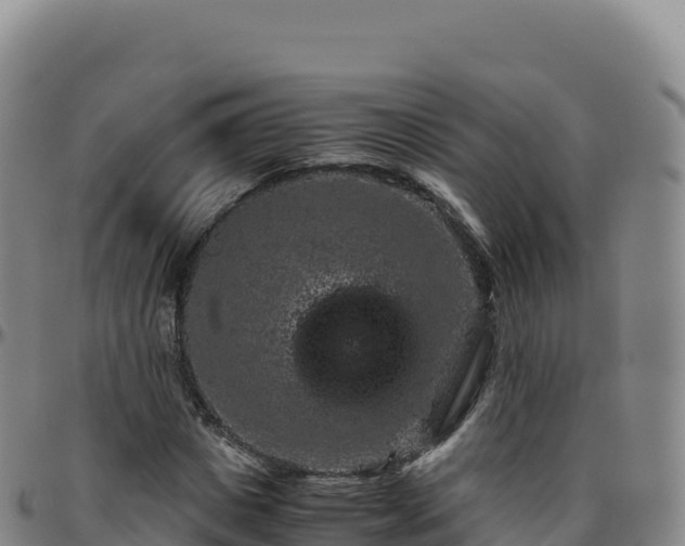 X0000096480825200801311554