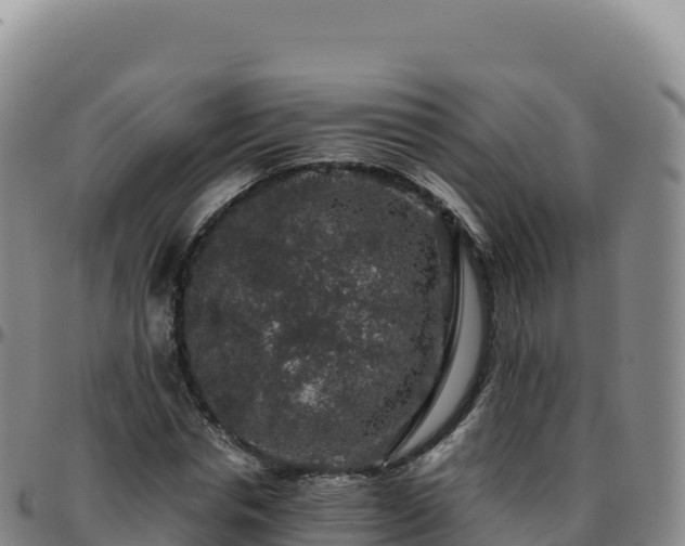 X0000096480826200801311554