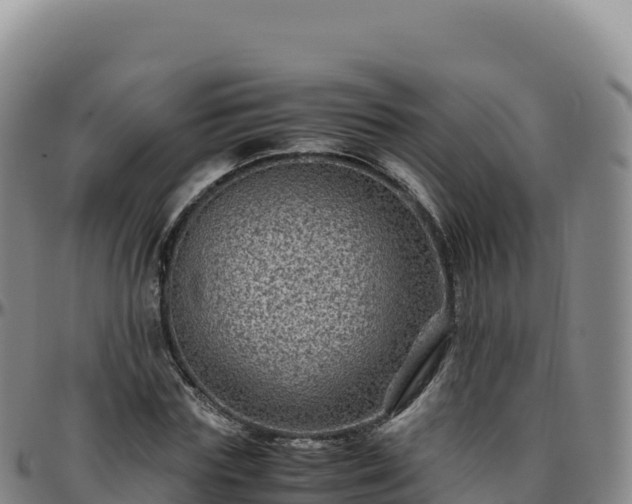 X0000096480827200801311554