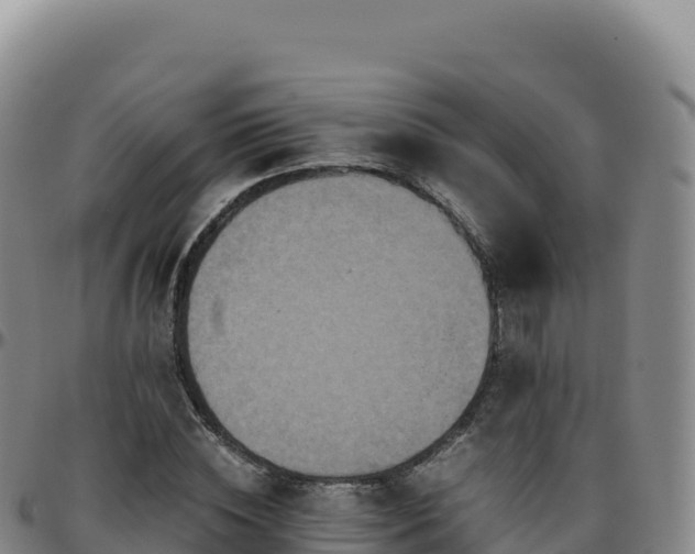 X0000096480828200801311554