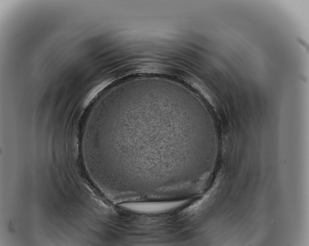 X0000096480829200801311554