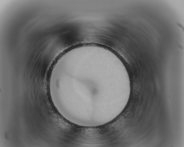 X0000096480832200801311554