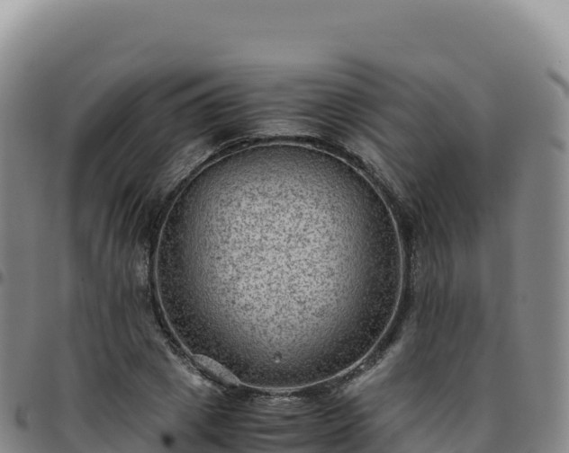 X0000096480833200801311554