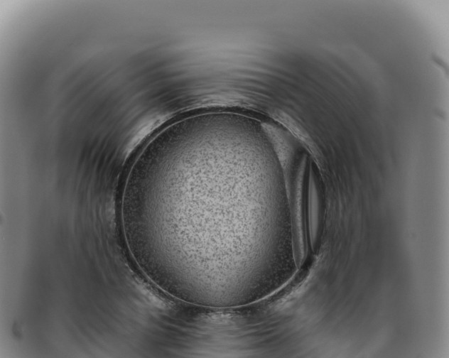 X0000096480834200801311554