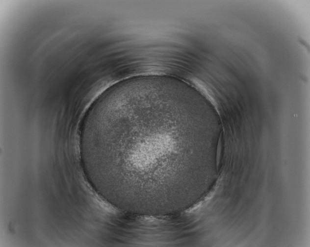 X0000096480835200801311554