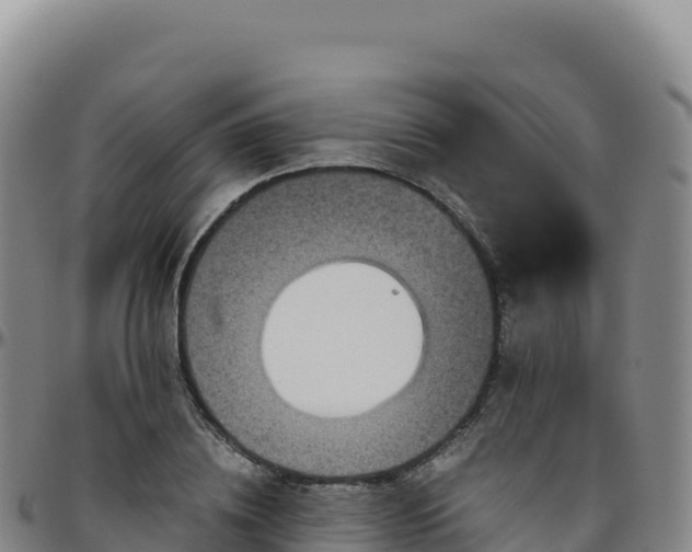 X0000096480836200801311554