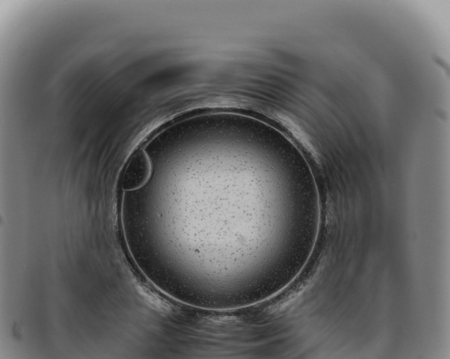 X0000096480837200801311554