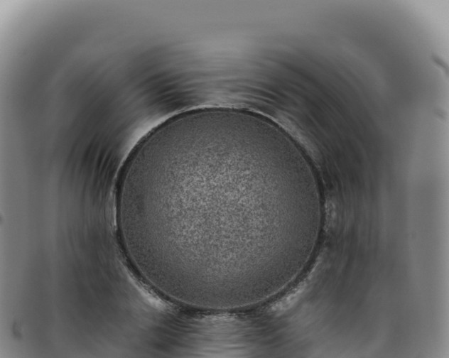 X0000096480838200801311554