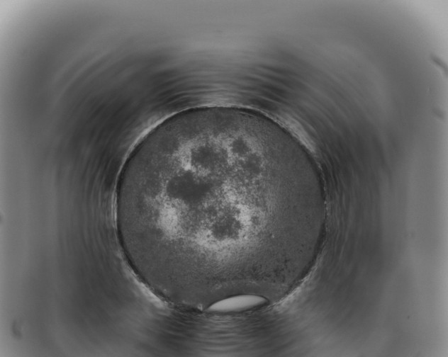 X0000096480839200801311554