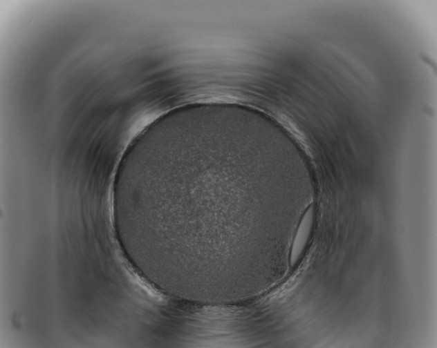 X0000096480840200801311554