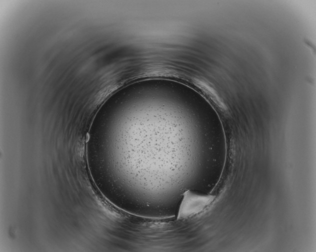 X0000096480841200801311554