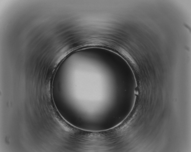 X0000096480842200801311554