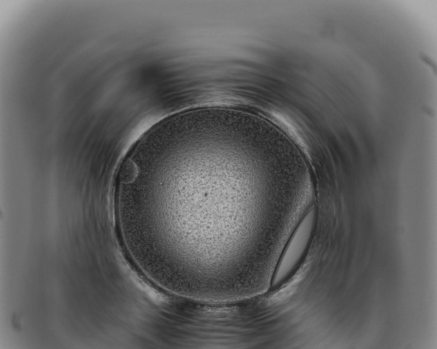 X0000096480843200801311554