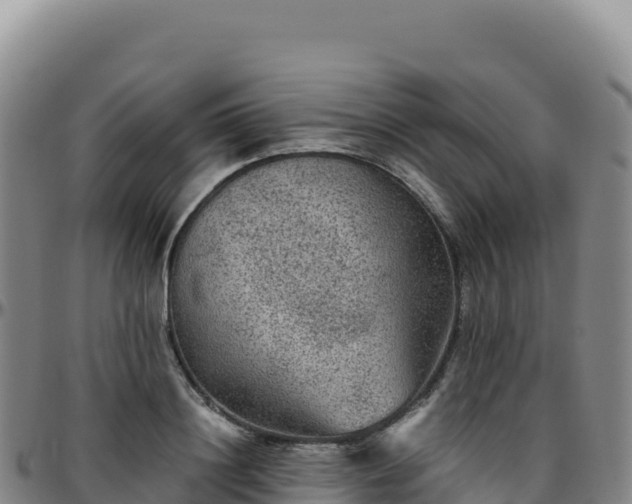 X0000096480844200801311554