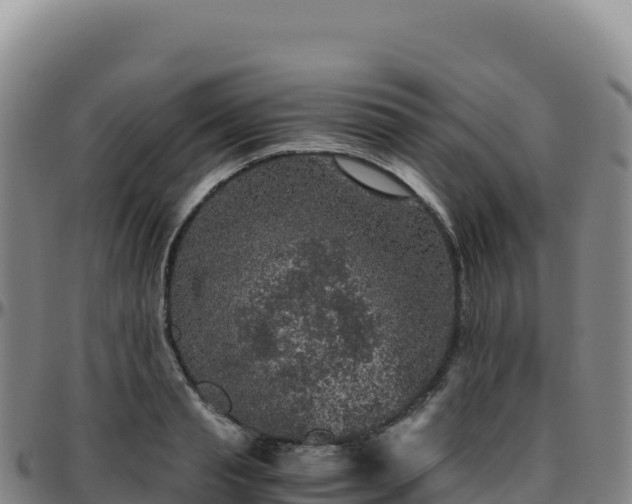 X0000096480845200801311554