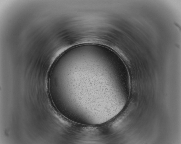 X0000096480846200801311554