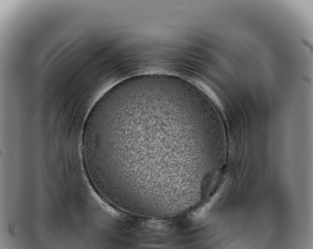 X0000096480847200801311554