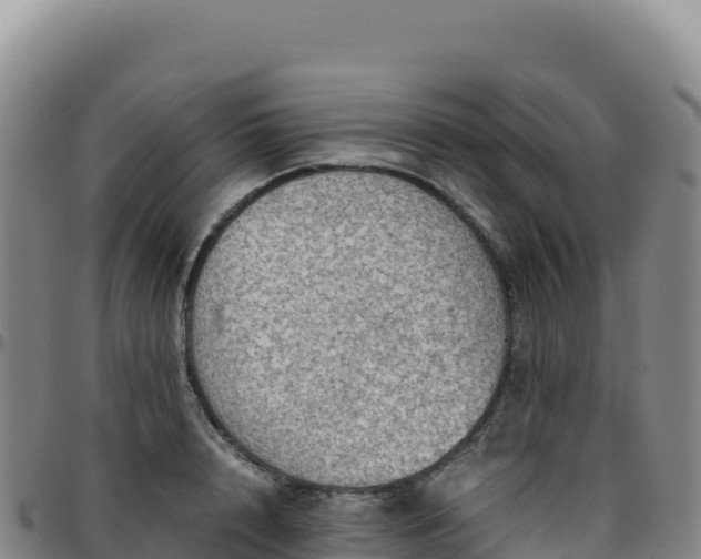 X0000096480848200801311554