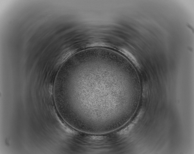 X0000096480849200801311554