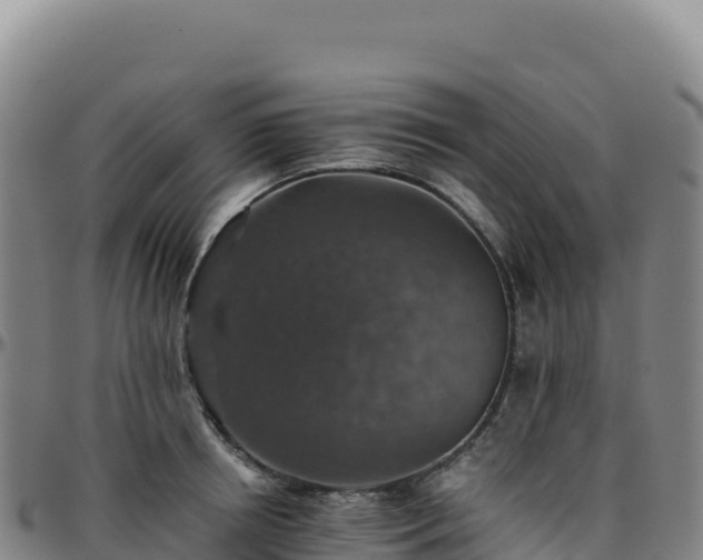 X0000096480850200801311554