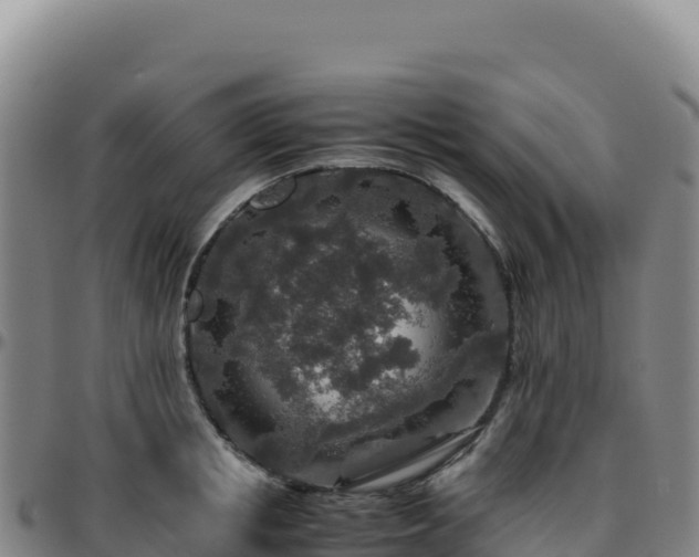 X0000096480853200801311554