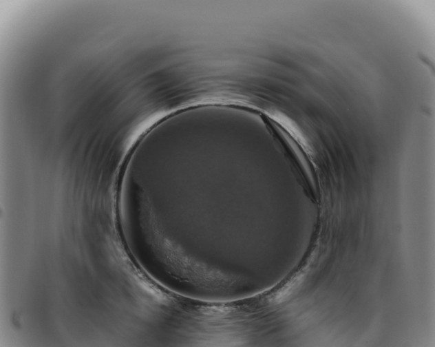 X0000096480854200801311554