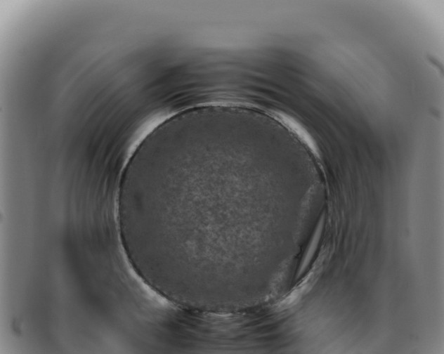 X0000096480855200801311554