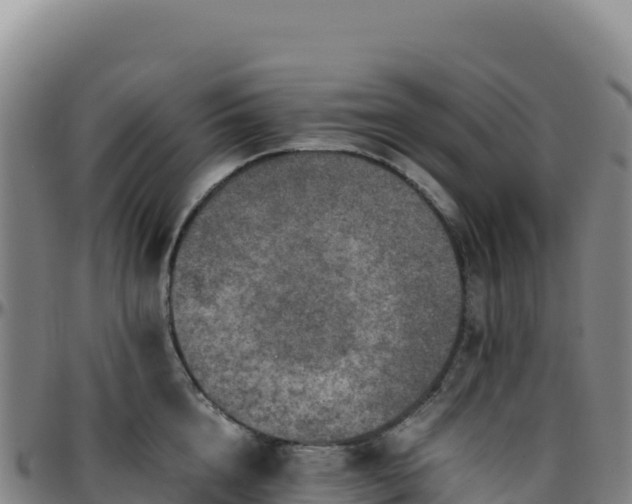 X0000096480856200801311554