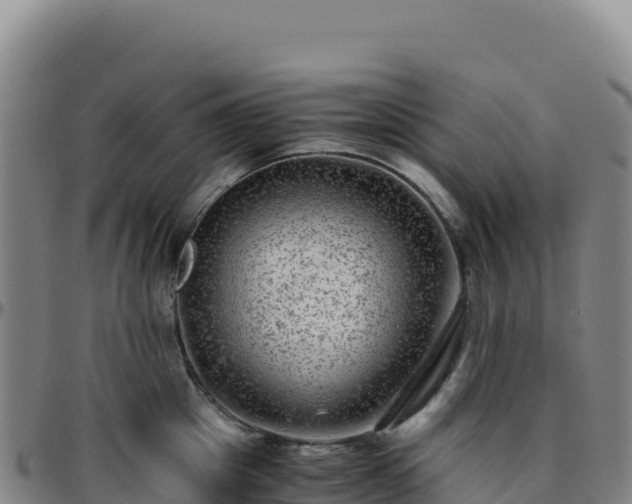 X0000096480857200801311554