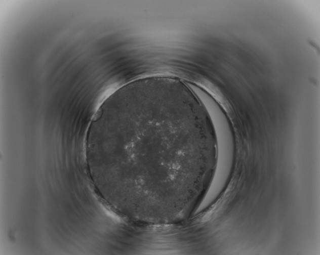 X0000096480858200801311554