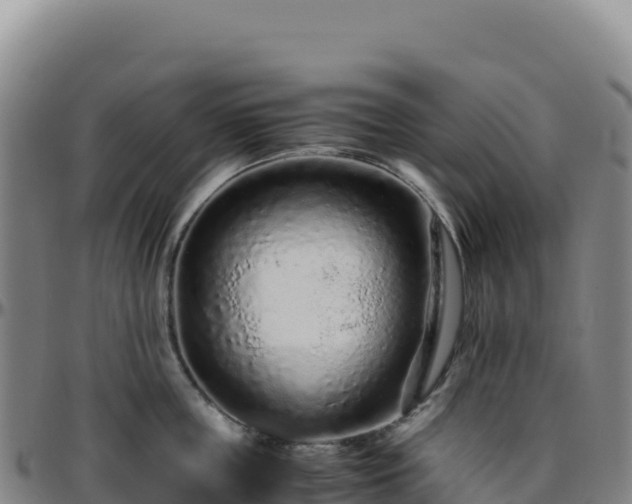 X0000096480859200801311554