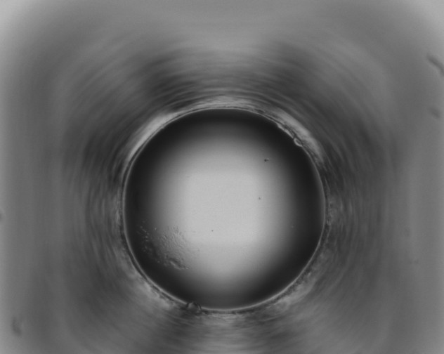 X0000096480860200801311554