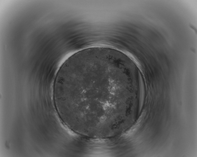 X0000096480862200801311554