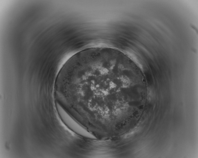 X0000096480863200801311554