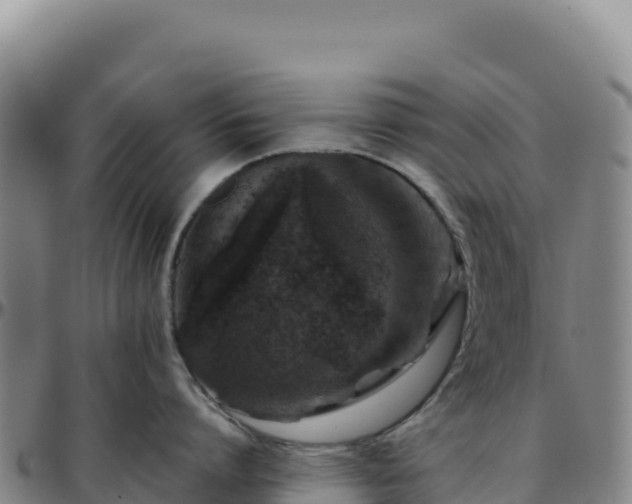 X0000096480864200801311554