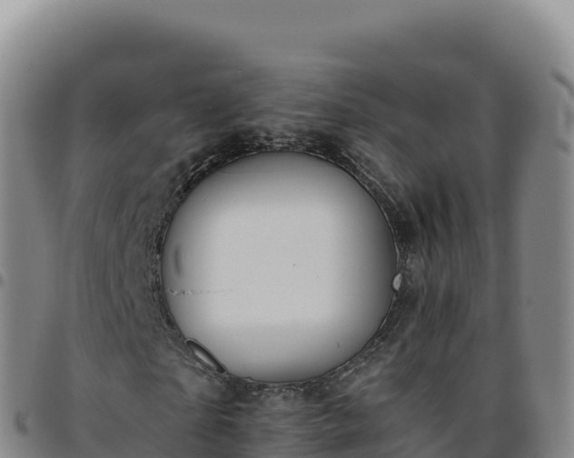 X0000096480865200801311554