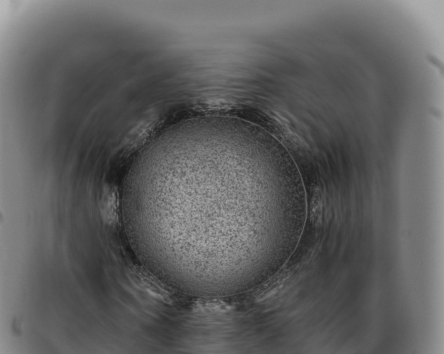 X0000096480866200801311554