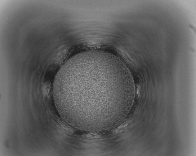 X0000096480867200801311554