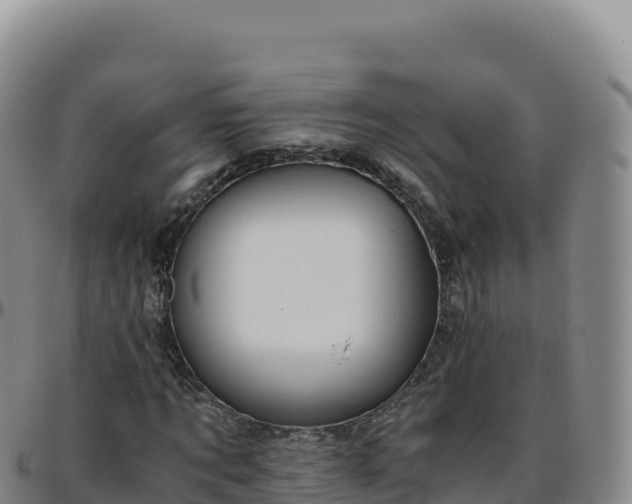 X0000096480869200801311554