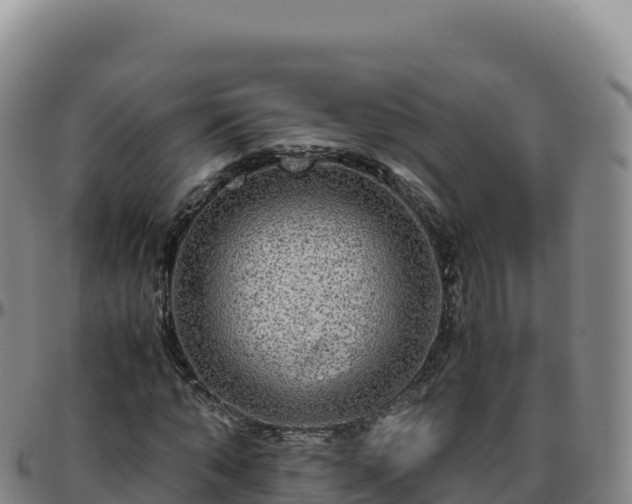 X0000096480870200801311554