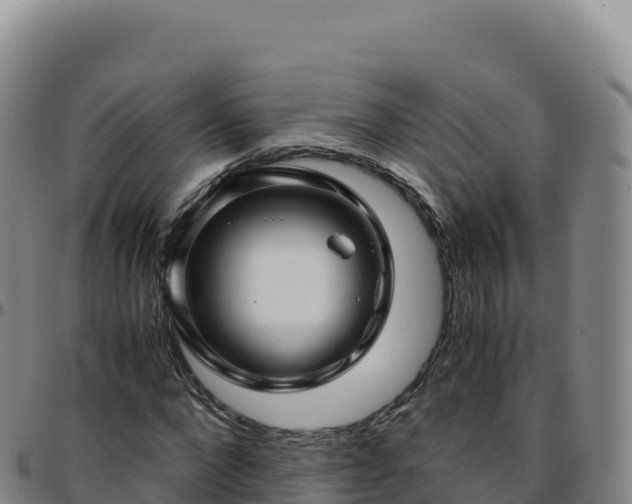 X0000096480872200801311554