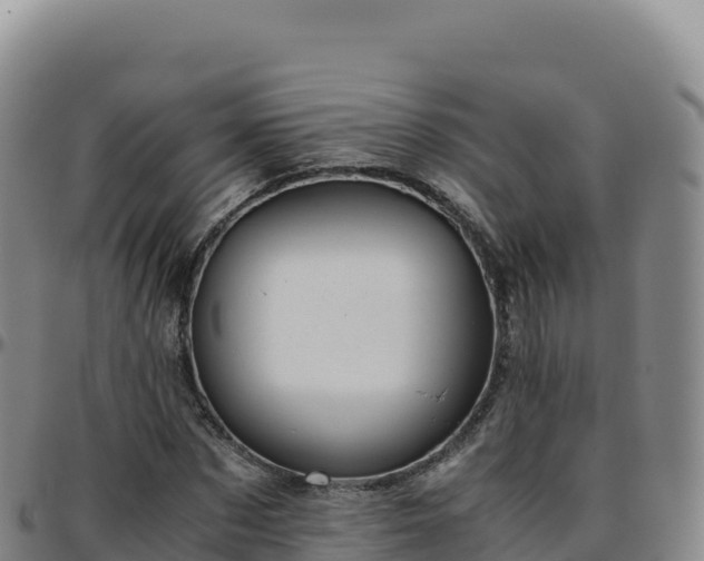 X0000096480873200801311554