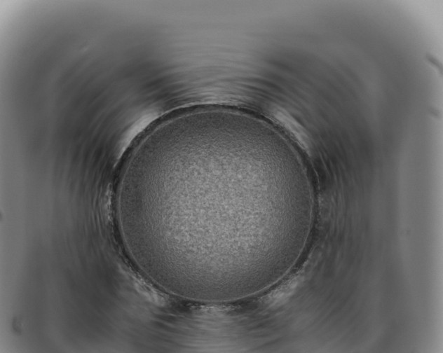 X0000096480875200801311554